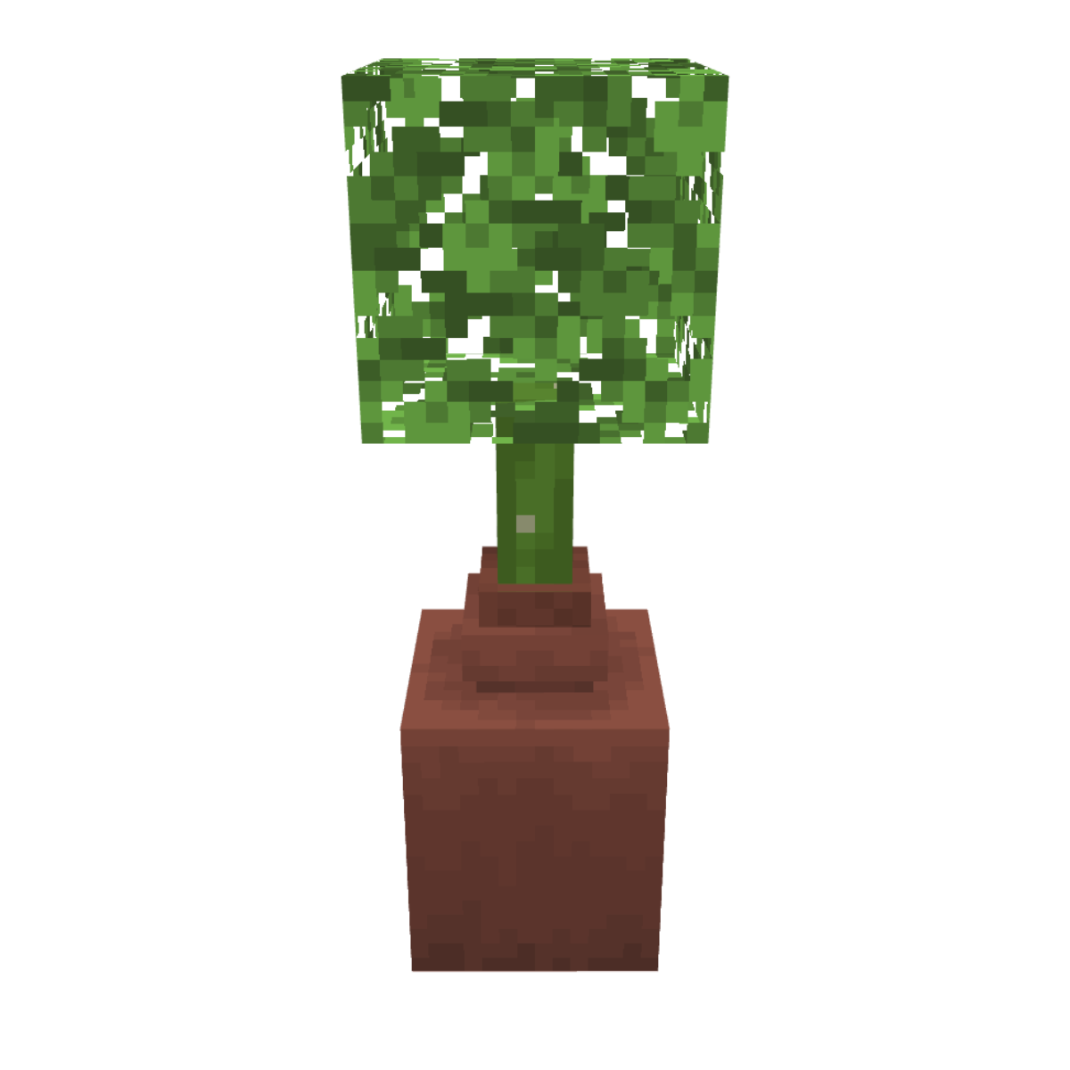 houseplant